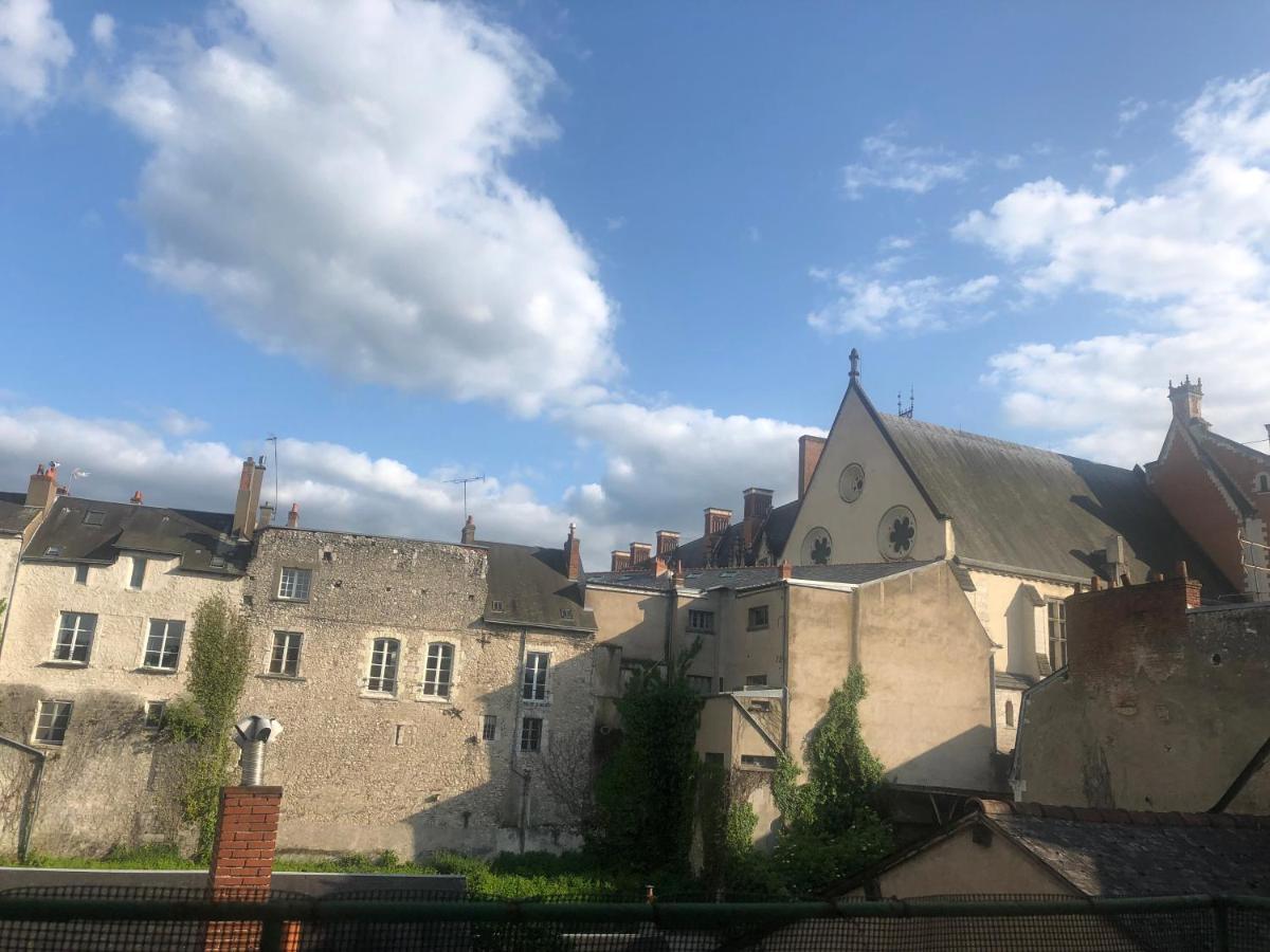 Cote Chateau - Grand Appartement Au Coeur De بلْوا المظهر الخارجي الصورة