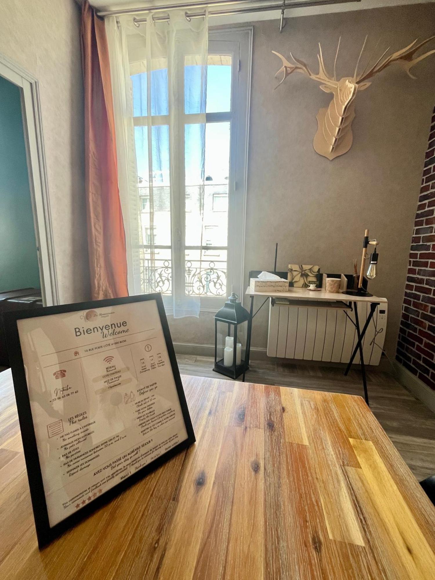 Cote Chateau - Grand Appartement Au Coeur De بلْوا المظهر الخارجي الصورة